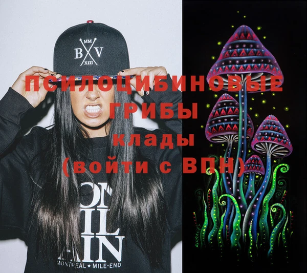 mdpv Инта